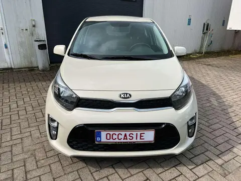 Used KIA PICANTO Petrol 2021 Ad Belgium