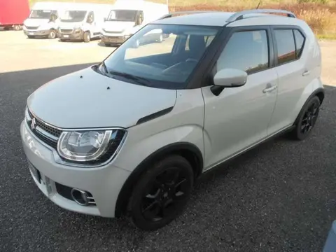 Used SUZUKI IGNIS Petrol 2019 Ad 