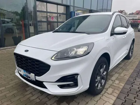 Annonce FORD KUGA Hybride 2022 d'occasion 