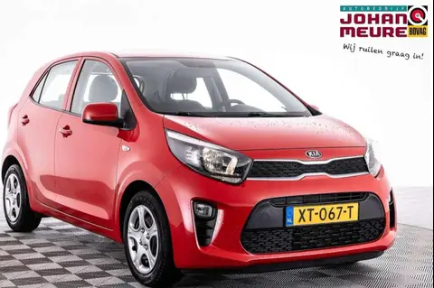 Annonce KIA PICANTO Essence 2019 d'occasion 