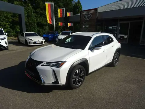 Annonce LEXUS UX Hybride 2021 d'occasion 