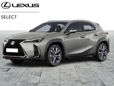 Used LEXUS UX Hybrid 2024 Ad 