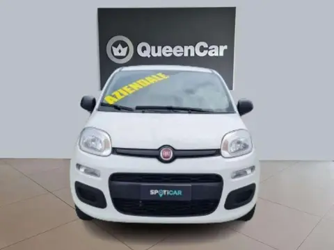 Annonce FIAT PANDA Essence 2020 d'occasion 