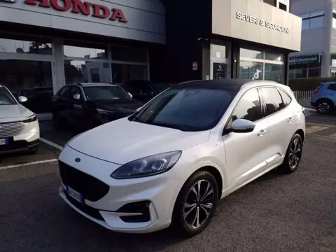 Used FORD KUGA Hybrid 2022 Ad 