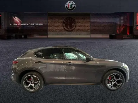 Annonce ALFA ROMEO STELVIO Diesel 2019 d'occasion 