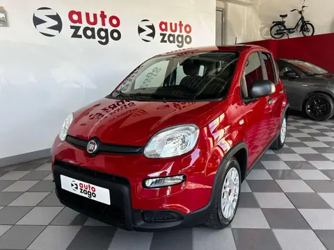 Used FIAT PANDA Hybrid 2024 Ad 