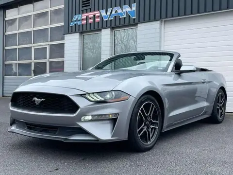 Used FORD MUSTANG Petrol 2019 Ad 