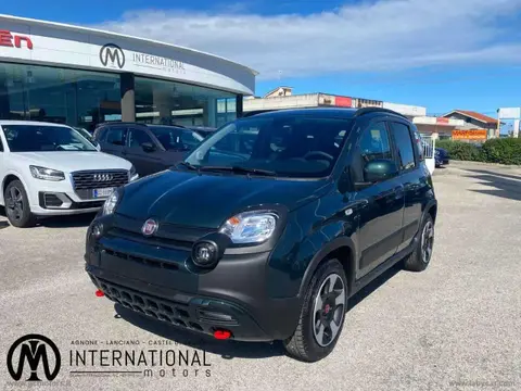 Used FIAT PANDA Hybrid 2024 Ad 