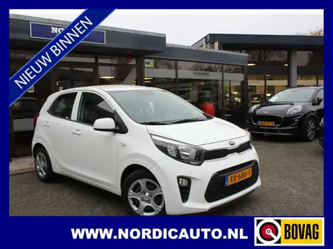 Used KIA PICANTO Petrol 2019 Ad 