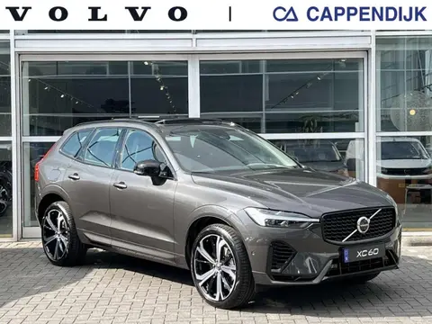 Annonce VOLVO XC60 Hybride 2024 d'occasion 