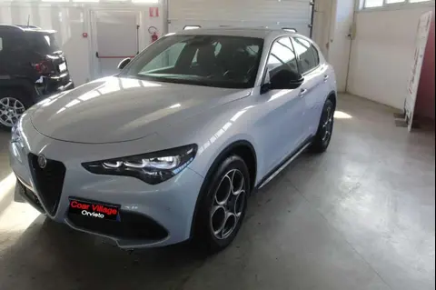 Used ALFA ROMEO STELVIO Diesel 2023 Ad 