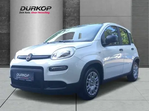 Annonce FIAT PANDA Essence 2024 d'occasion 