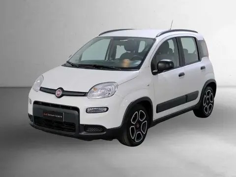 Annonce FIAT PANDA Essence 2021 d'occasion 