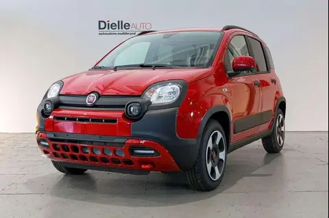 Used FIAT PANDA Hybrid 2024 Ad 