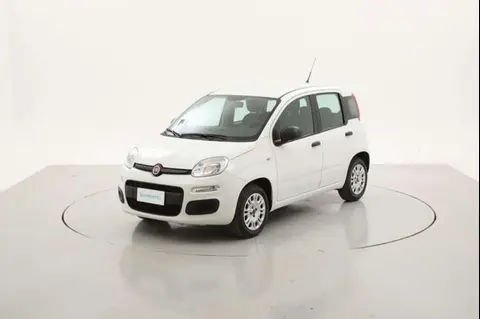 Annonce FIAT PANDA Essence 2018 d'occasion 