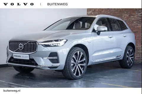 Annonce VOLVO XC60 Hybride 2023 d'occasion 