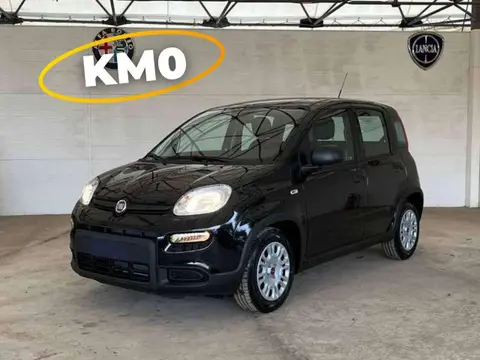 Used FIAT PANDA Hybrid 2024 Ad 