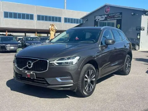 Annonce VOLVO XC60 Hybride 2020 d'occasion 