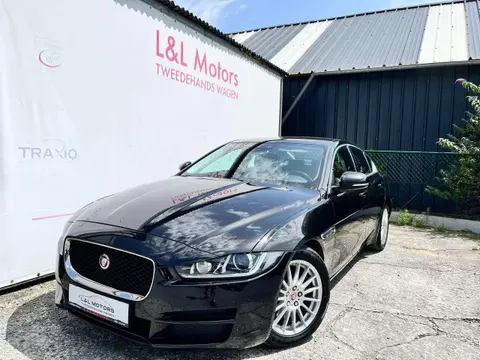 Annonce JAGUAR XE Diesel 2019 d'occasion 