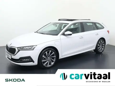 Annonce SKODA OCTAVIA Hybride 2021 d'occasion 