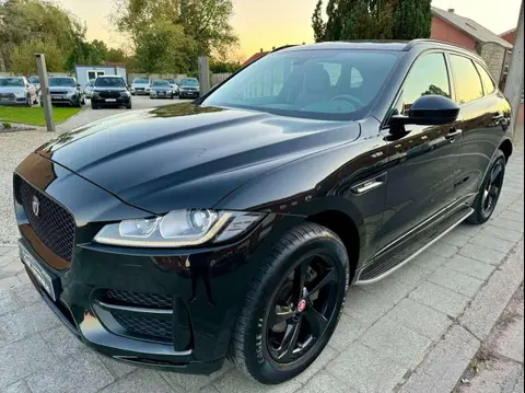 Used JAGUAR F-PACE Diesel 2019 Ad 