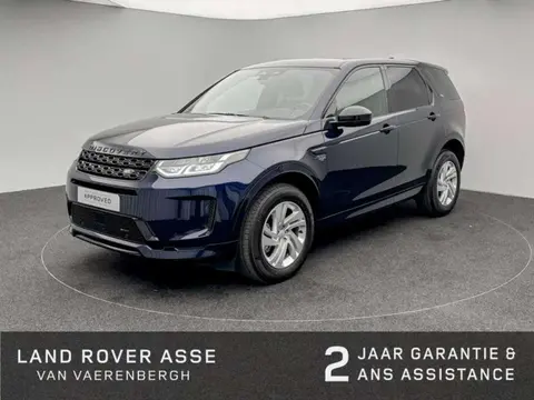 Used LAND ROVER DISCOVERY Diesel 2022 Ad 