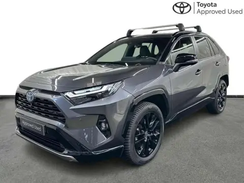 Used TOYOTA RAV4 Hybrid 2023 Ad 