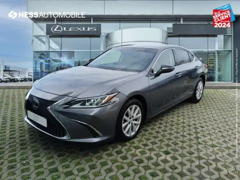 Used LEXUS ES  2020 Ad 