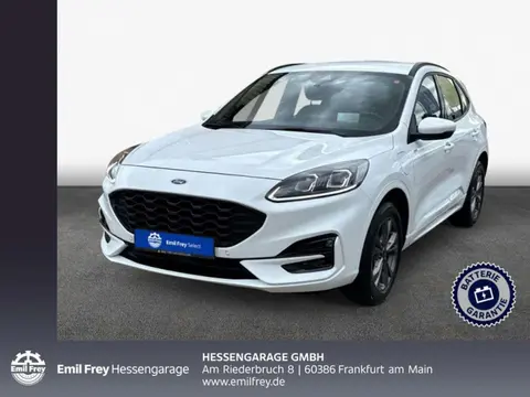 Used FORD KUGA Hybrid 2022 Ad 