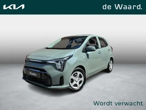 Annonce KIA PICANTO Essence 2024 d'occasion 