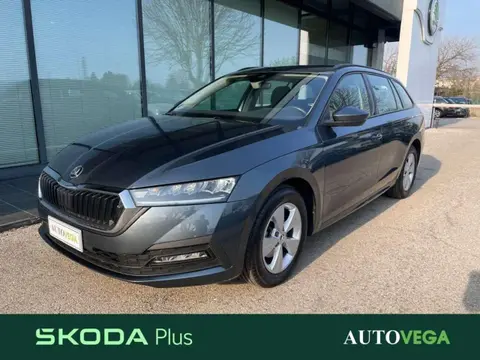 Used SKODA OCTAVIA Diesel 2022 Ad 