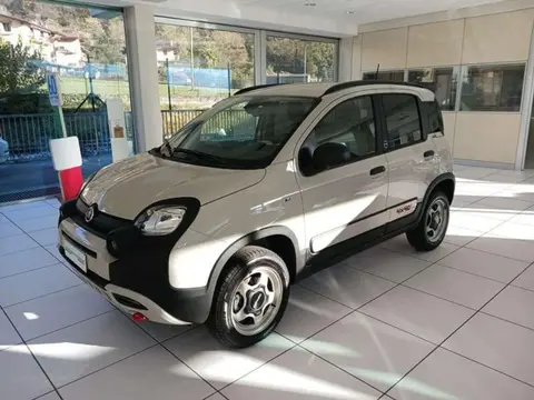 Used FIAT PANDA Petrol 2024 Ad 