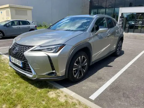 Annonce LEXUS UX Hybride 2021 d'occasion 