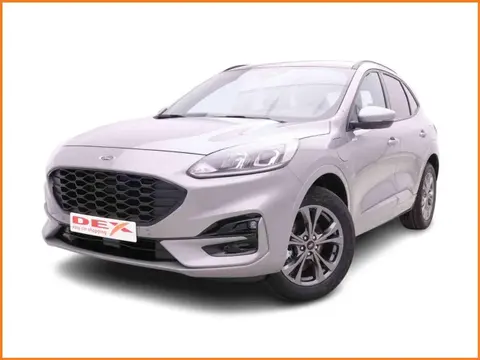 Used FORD KUGA Hybrid 2023 Ad 