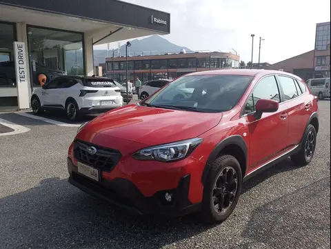 Used SUBARU XV Petrol 2023 Ad 