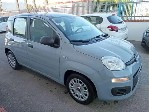 Used FIAT PANDA Hybrid 2021 Ad 