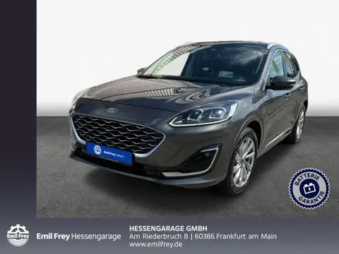 Annonce FORD KUGA Hybride 2021 d'occasion 