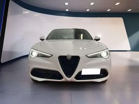 Used ALFA ROMEO STELVIO Diesel 2020 Ad 