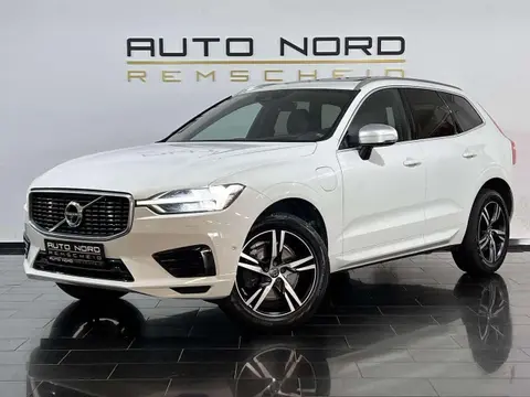 Used VOLVO XC60 Hybrid 2019 Ad 