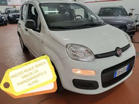 Used FIAT PANDA Petrol 2020 Ad 