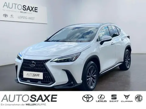 Used LEXUS NX Hybrid 2022 Ad 