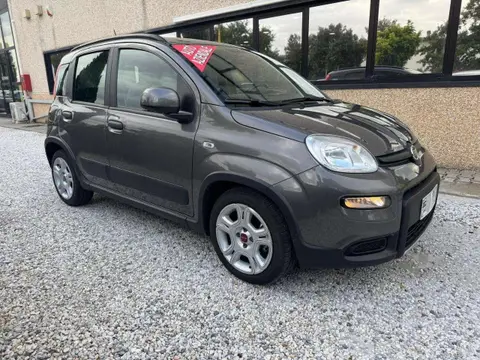 Annonce FIAT PANDA Hybride 2022 d'occasion 