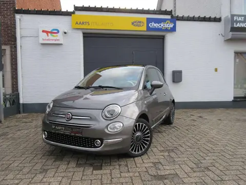 Annonce FIAT 500 Essence 2019 d'occasion 