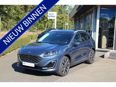 Used FORD KUGA Hybrid 2023 Ad 