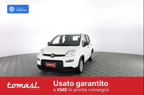 Used FIAT PANDA Hybrid 2024 Ad 