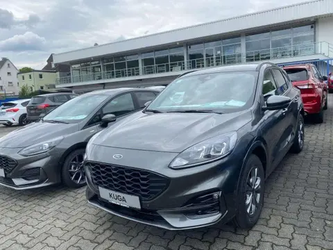 Used FORD KUGA Hybrid 2023 Ad 