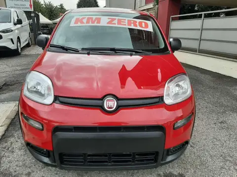 Annonce FIAT PANDA Hybride 2024 d'occasion 