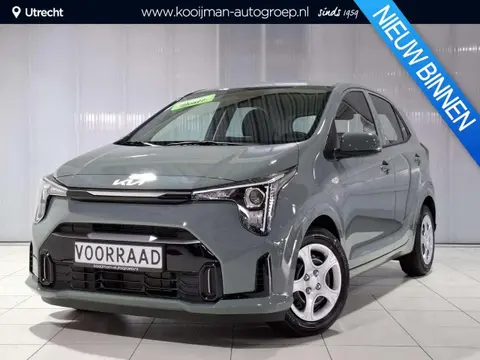 Used KIA PICANTO Petrol 2024 Ad 