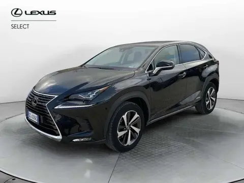 Used LEXUS NX Hybrid 2020 Ad 