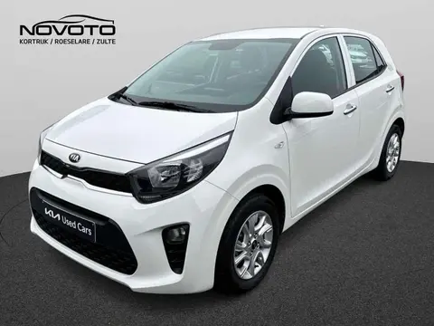 Annonce KIA PICANTO Essence 2019 d'occasion 